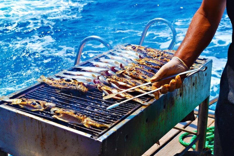 Best Boat Grill Top BBQ Grills Picks for 2022